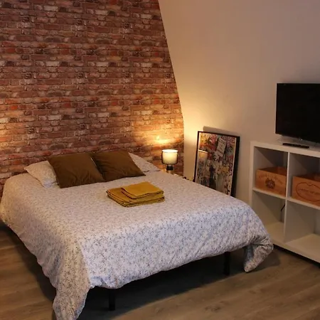 211 Au Coeur Du Campus De Belle Beille Apartamento