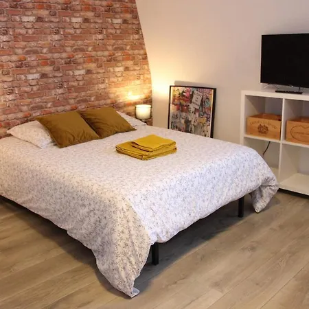 211 Au Coeur Du Campus De Belle Beille Appartement *